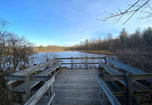 Sherwood Observation Platform - Image 1