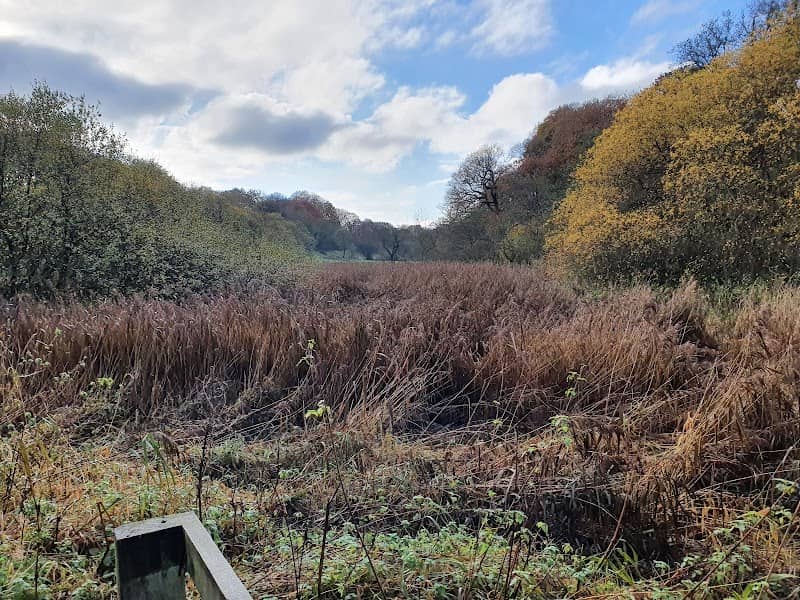 Withnell Fold Nature reserve - Image 1