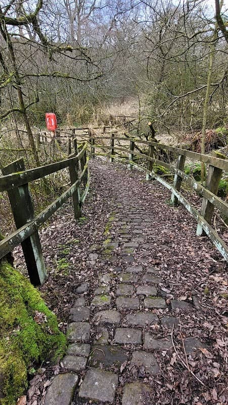 Withnell Fold Nature reserve - Image 2
