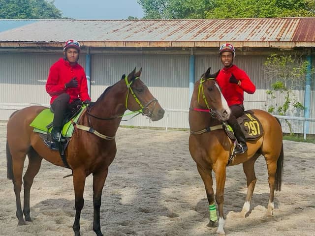 Horse Riding - Image 2