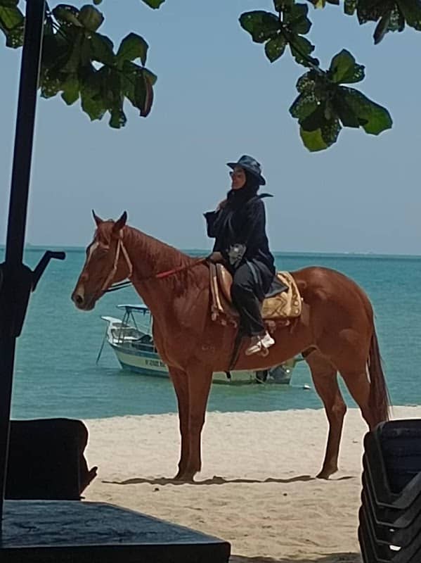 Horse Riding - Image 1