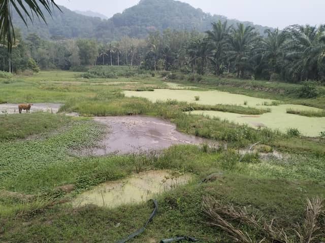 Dam Gumuk inten - Image 2