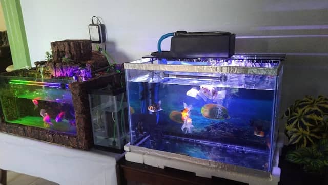 Rian Aquarium - Image 1