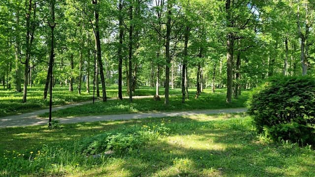 Põltsamaa lossi park - Image 1