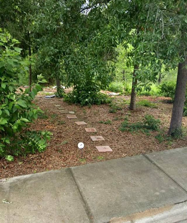 Cottage Rose Park - Image 2