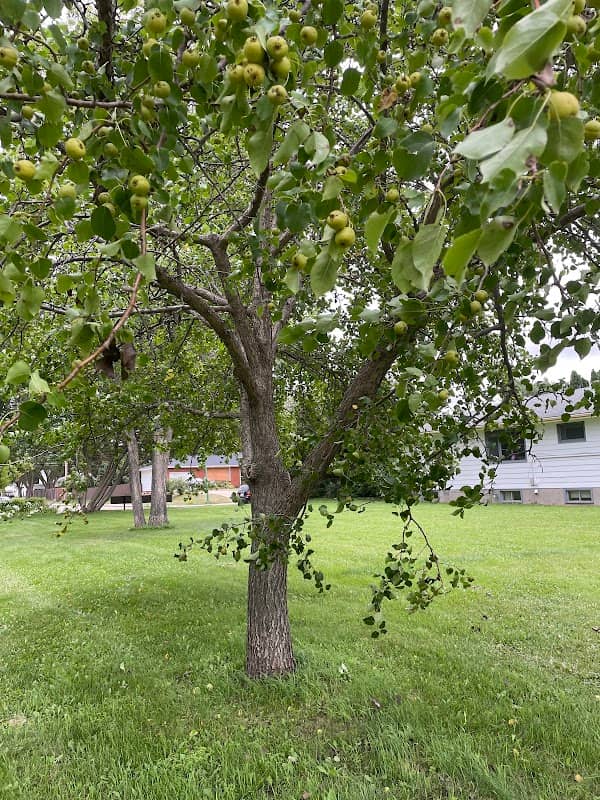 Jeffery Park - Image 2