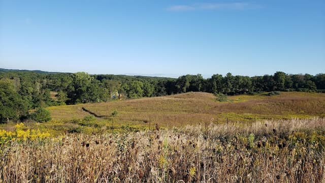 Michigan Audubon Otis Sanctuary - Image 1