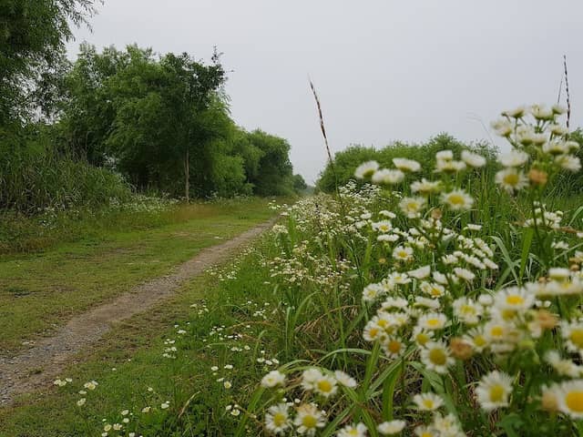 Samnak Wetland Ecology Park - Image 2