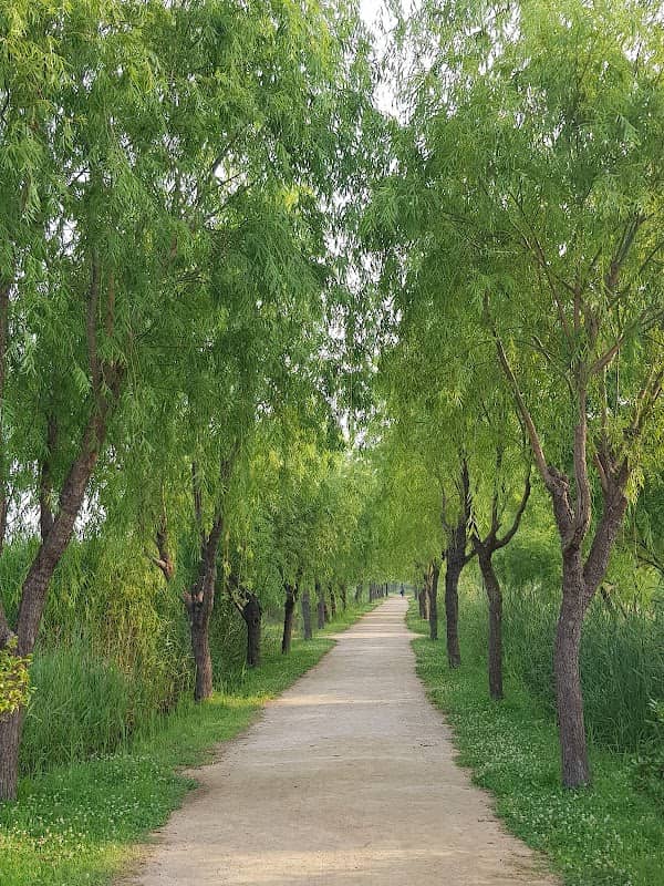 Samnak Wetland Ecology Park - Image 1