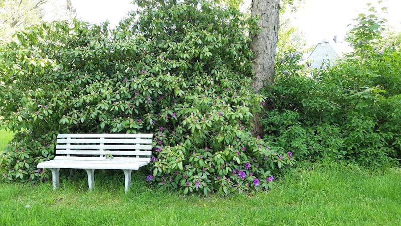 Am Rhododendron Park - Image 1