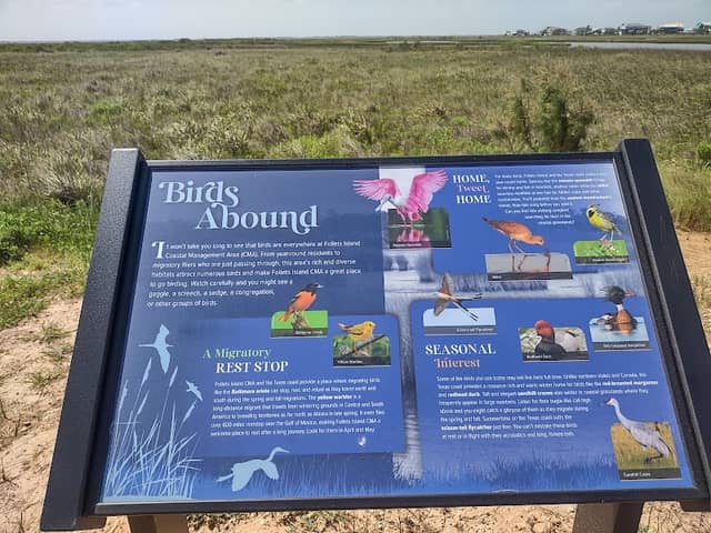 Follets Island Costal Management Area - Image 2