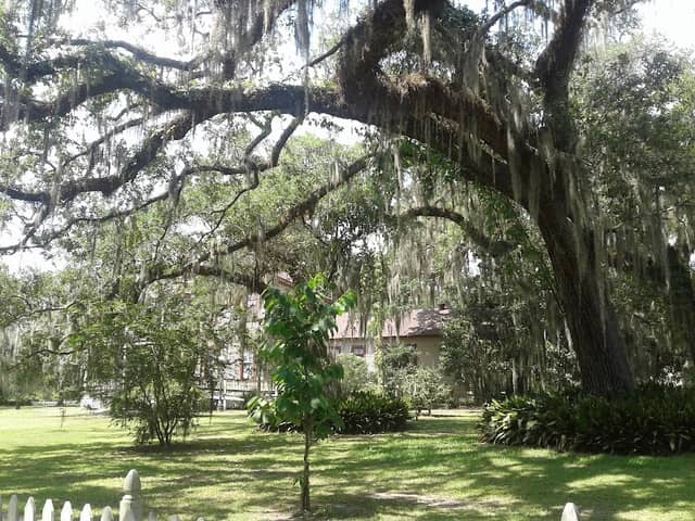 Fairview-Riverside State Park - Image 3