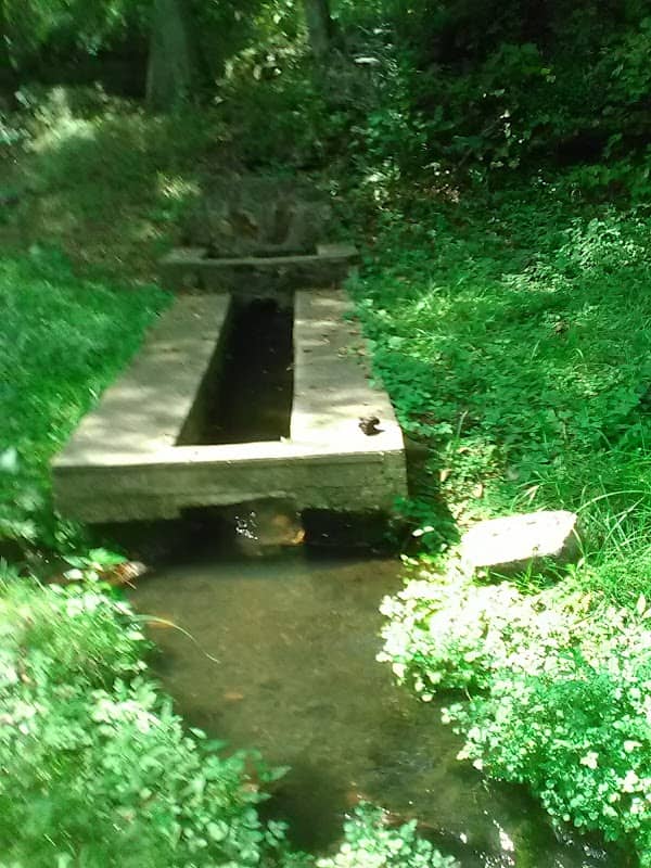 Climax Springs park - Image 2