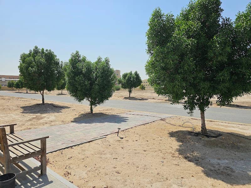 Al Qusais Archaeological Site - Image 1