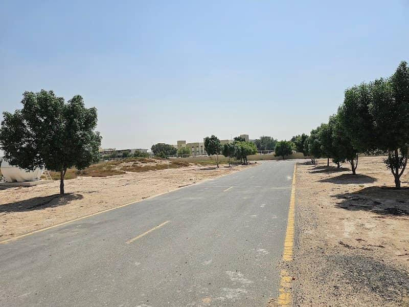 Al Qusais Archaeological Site - Image 2