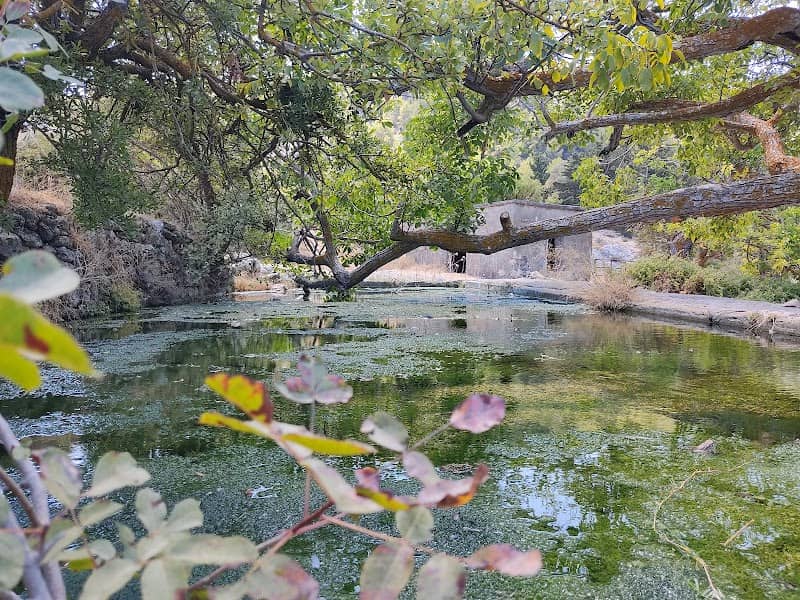 Pınar Su Havuzu - Image 1