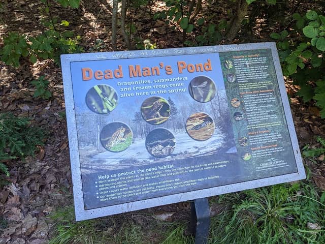 Dead Man's Pond - Image 2