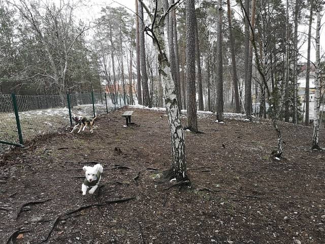 Södertälje Hamn Hundpark - Image 1
