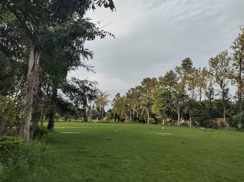 Dolphin park - Image 2