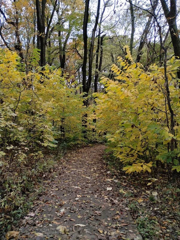 Gentry Park - Image 2
