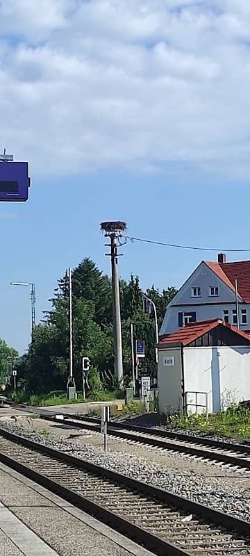 Storchennest - Image 1