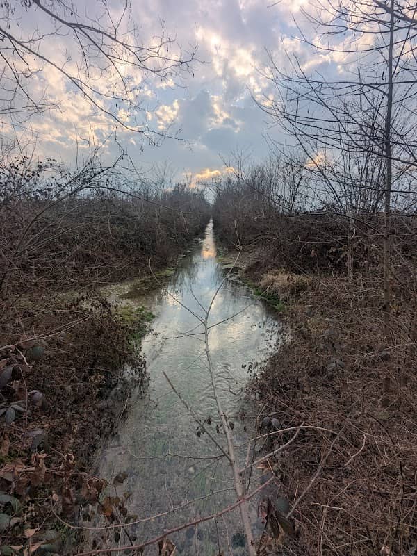 Fosso Canonici - Image 1