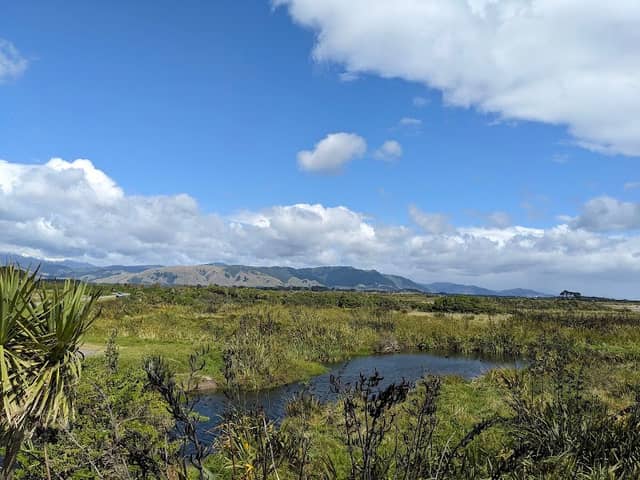 Otaki River Estuary Viewing Platform - Image 1