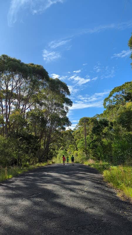 Wild life corridor - Image 1