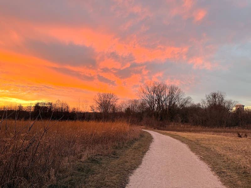 Barnes Forest Preserve (North) - Image 1
