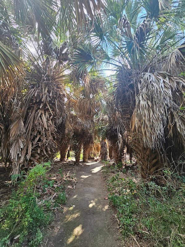 Frontera Audubon Society - Image 2