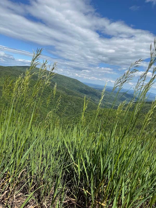 Turk Mountain Overlook - Image 3