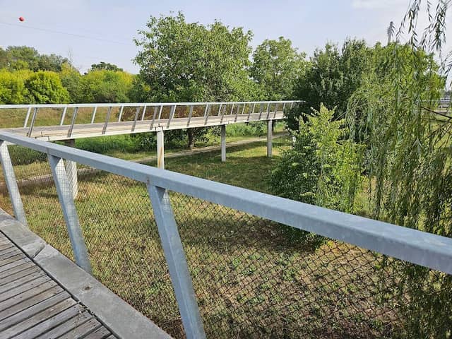 Lombkorona sétány - Image 1