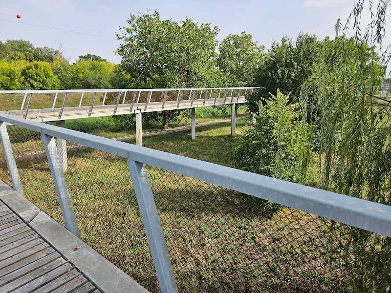 Lombkorona sétány - Image 1