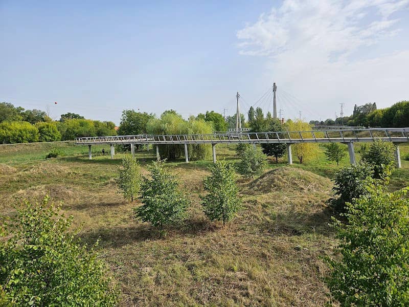 Lombkorona sétány - Image 2