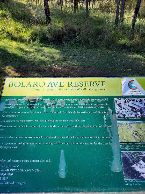Bolaro Ave. Reserve - Image 2