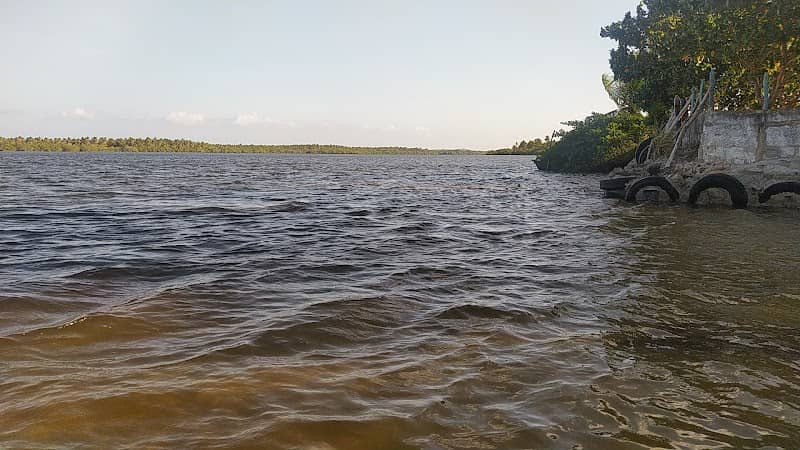 Beira Rio Farnaval - Image 1