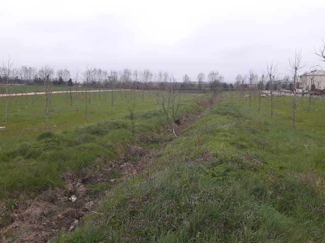 Park - Image 1