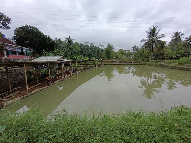 Pemancingan Bawal Padati - Image 1