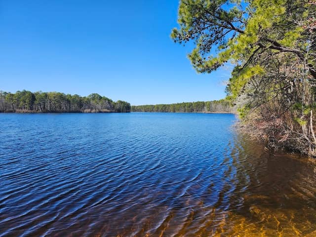 Maple Lake WMA - Image 1