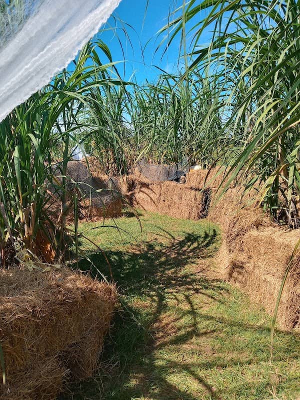 Sunland ranch - Image 1