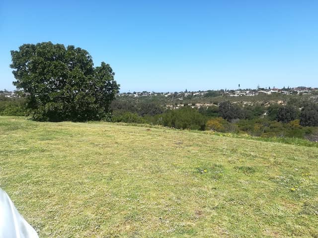 Newton Park Local Authority Nature Reserve - Image 2