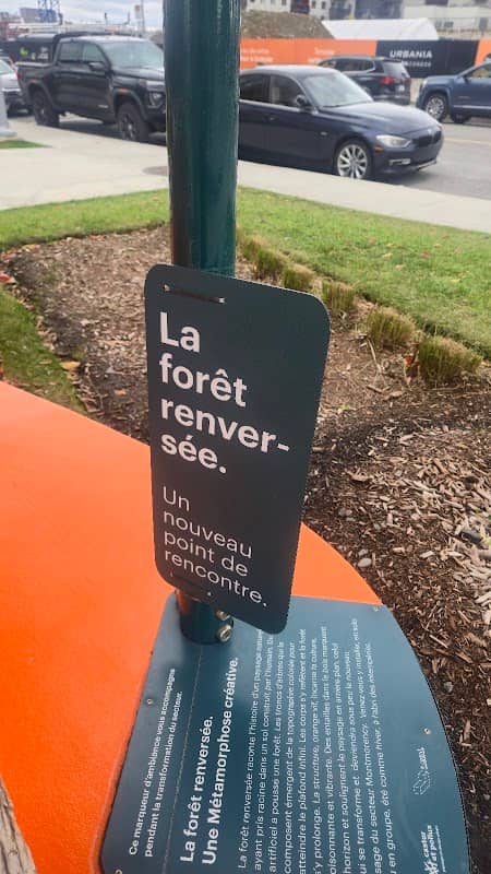 La Forêt Renversée - Image 1