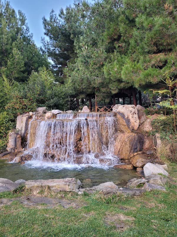 Yaşam vadisi - Image 1