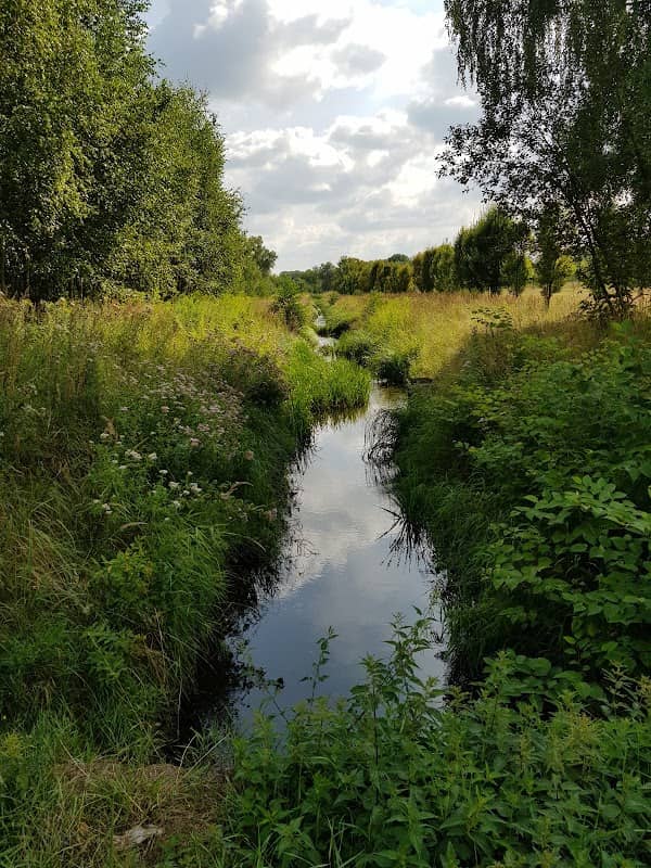 Akwedukt - Image 2