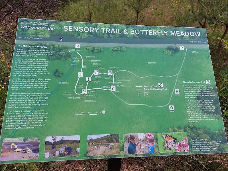 Butterfly meadow - Image 1