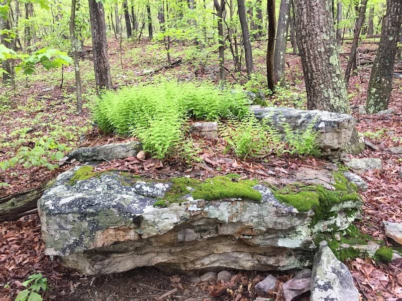 Eidolon Nature Preserve - Image 2
