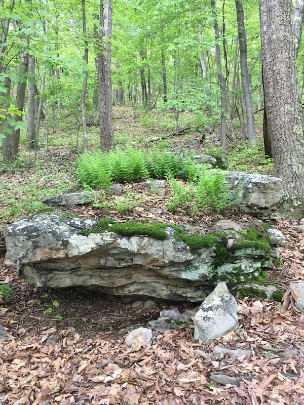 Eidolon Nature Preserve - Image 1