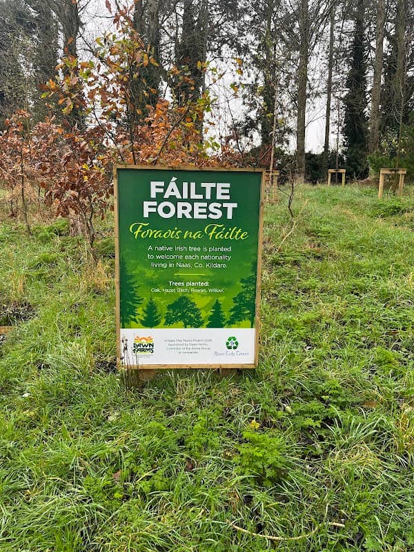 Welcome Forest / Fáilte forest - Image 2
