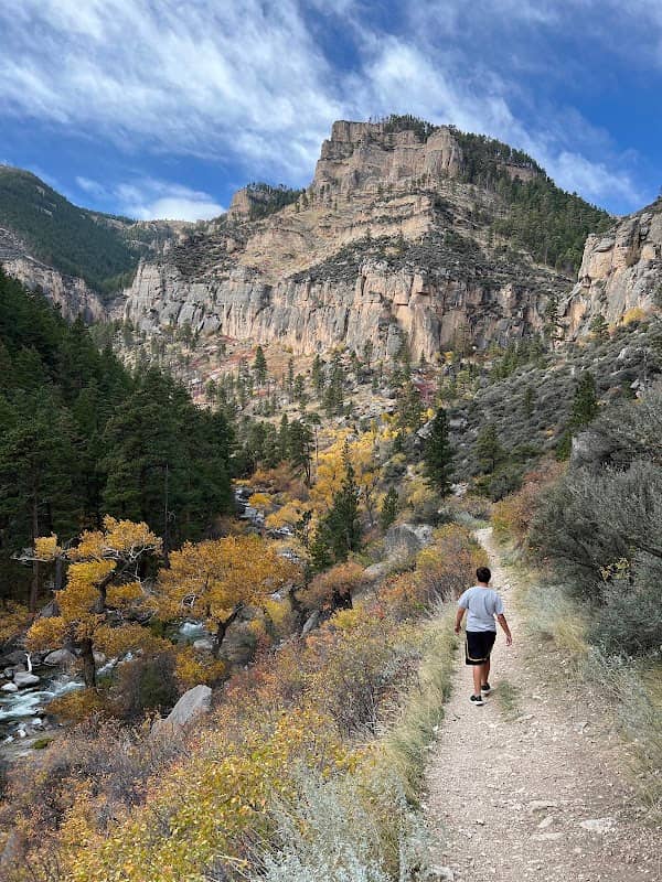 Tongue River Canyon Access - Image 1