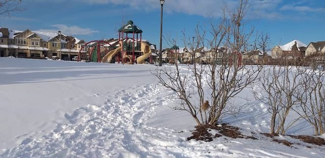 Topham Park - Image 3